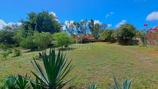Fazenda / Sítio / Chácara com 7 Quartos à venda, 4800m² no Gravatá Centro, Gravatá