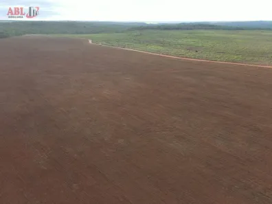 Fazenda / Sítio / Chácara à venda, 100190000m² no , Pedro Afonso