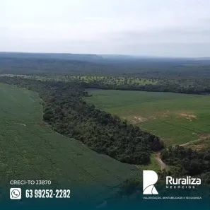 Fazenda / Sítio / Chácara à venda, 230m² no , Goiatins
