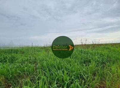 Fazenda / Sítio / Chácara à venda, 9937125m² no , Pedro Afonso