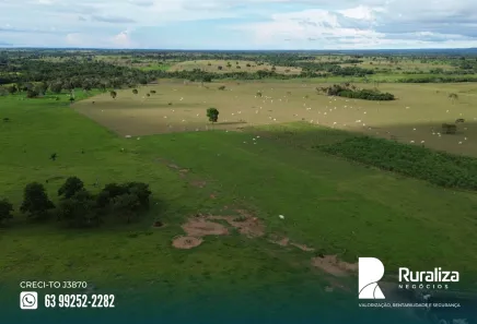 Fazenda / Sítio / Chácara à venda, 1306m² no , Arapoema