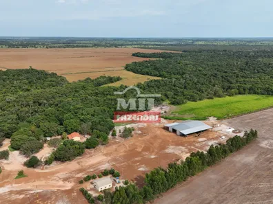 Fazenda / Sítio / Chácara à venda, 500m² no , Pium