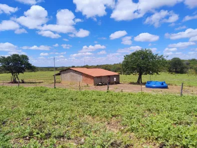 Fazenda / Sítio / Chácara com 2 Quartos à venda, 114m² no Gercino Coelho, Petrolina