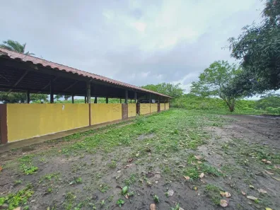 Fazenda / Sítio / Chácara com 11 Quartos à venda, 128519m² no , Pombos