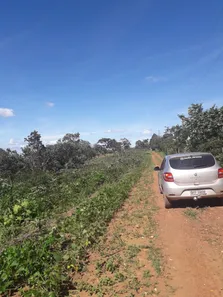 Fazenda / Sítio / Chácara à venda, 20000m² no Jardim Roriz, Brasília