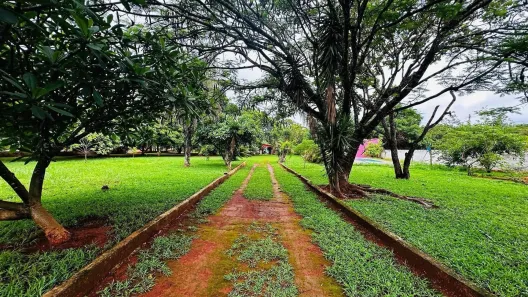 Fazenda / Sítio / Chácara com 4 Quartos à venda, 6000m² no Parque Marajó, Valparaíso de Goiás