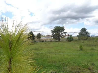 Fazenda / Sítio / Chácara com 3 Quartos à venda, 450m² no Itapira, Quatro Barras