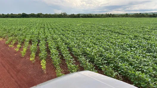 Fazenda / Sítio / Chácara com 7 Quartos à venda, 503m² no , Santa Maria do Tocantins
