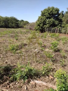 Terreno / Lote / Condomínio para venda ou aluguel, 5000m² no Recreio das Acácias, Ribeirão Preto