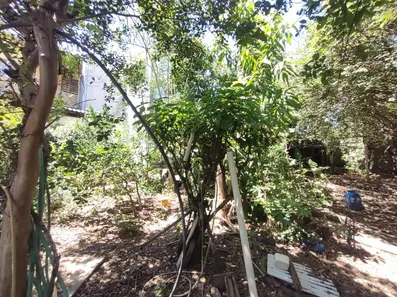 Fazenda / Sítio / Chácara com 6 Quartos à venda, 411m² no Pau D'Alhinho, Piracicaba