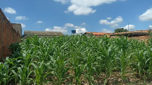 Terreno / Lote / Condomínio à venda, 300m² no Solar Monte Cristo, Senador Canedo