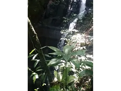 Fazenda / Sítio / Chácara à venda, 508200m² no , Piedade