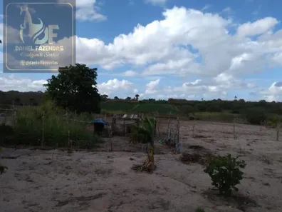 Fazenda / Sítio / Chácara com 2 Quartos à venda, 90m² no , Vera Cruz