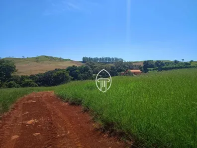 Fazenda / Sítio / Chácara à venda, 387200m² no Cruzeiro do Norte, Uraí