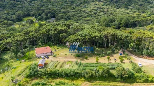 Fazenda / Sítio / Chácara com 3 Quartos à venda, 200m² no Serra do Araçatuba, Tijucas do Sul
