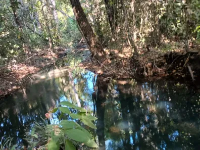 Fazenda / Sítio / Chácara com 3 Quartos à venda, 30000m² no , Brasília