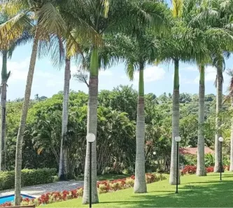 Terreno / Lote / Condomínio à venda, 488m² no Moreno, Moreno