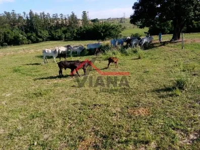 Fazenda / Sítio / Chácara à venda, 179000m² no Vila Cesari Purgato, Mombuca