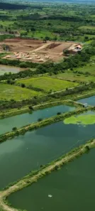 Fazenda / Sítio / Chácara com 2 Quartos à venda, 326000m² no , Pilar