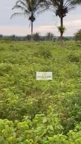 Fazenda / Sítio / Chácara com 8 Quartos à venda, 600m² no São José, Formoso do Araguaia