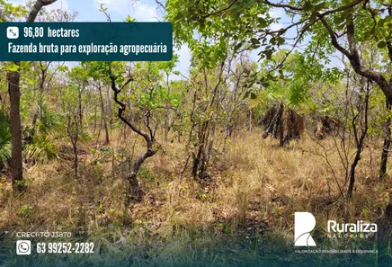 Fazenda / Sítio / Chácara à venda, 96m² no , Pedro Afonso