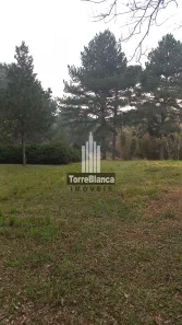 Fazenda / Sítio / Chácara com 3 Quartos à venda, 70m² no Guaragi, Ponta Grossa