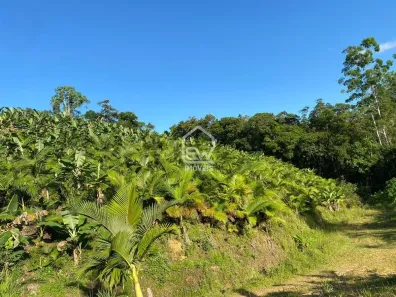 Fazenda / Sítio / Chácara com 1 Quarto à venda, 101850m² no Sete de Janeiro, Massaranduba