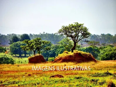 Fazenda / Sítio / Chácara à venda, 90000000m² no , Morros