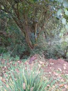 Terreno / Lote / Condomínio à venda, 300m² no Parque Nova Jandira, Jandira