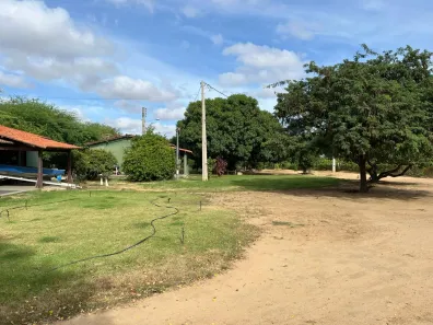 Fazenda / Sítio / Chácara com 5 Quartos à venda, 17000m² no , Petrolina