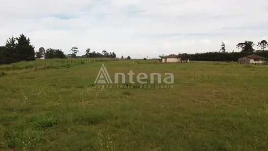 Terreno / Lote / Condomínio para alugar, 2000m² no Quississana, São José dos Pinhais