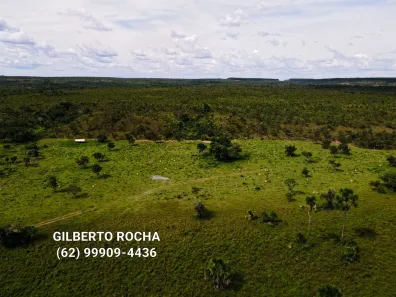 Fazenda / Sítio / Chácara à venda, 17900000m² no , Rio Sono
