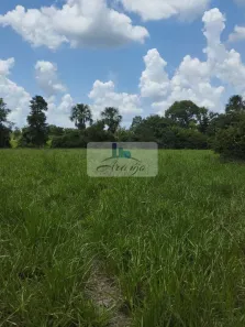 Fazenda / Sítio / Chácara à venda, 6m² no , Divinópolis do Tocantins