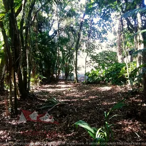 Fazenda / Sítio / Chácara com 1 Quarto à venda, 12900m² no , Antonina