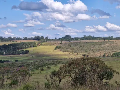 Fazenda / Sítio / Chácara com 2 Quartos à venda, 450000m² no Brazlândia, Brasília