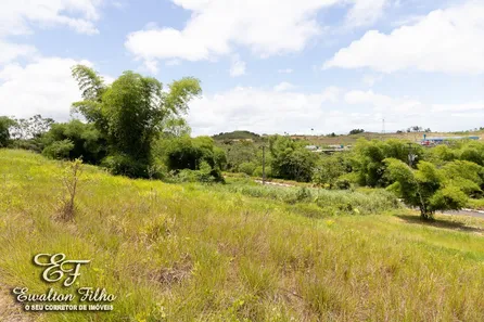 Terreno / Lote / Condomínio à venda, 714m² no Loteamento Recanto dos Eucaliptos, Simões Filho