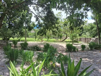 Fazenda / Sítio / Chácara com 4 Quartos à venda, 5000m² no Hararas da Peniche, Tanguá