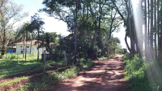 Fazenda / Sítio / Chácara com 9 Quartos à venda, 22000m² no , Nerópolis