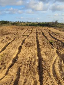 Fazenda / Sítio / Chácara à venda, 3000m² no Praia de Carapibus, Conde