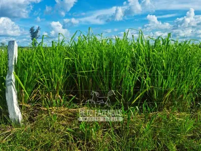Fazenda / Sítio / Chácara à venda, 13380000m² no Área Rural de Gurupi, Gurupi