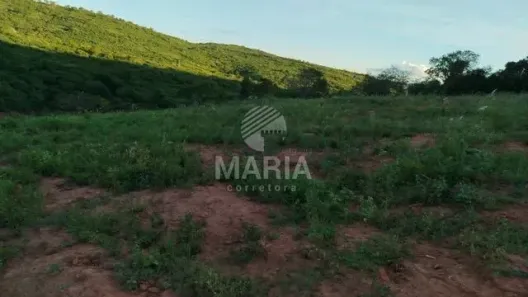 Fazenda / Sítio / Chácara à venda, 76600m² no Divinópolis, Caruaru