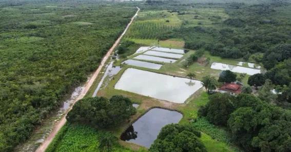 Fazenda / Sítio / Chácara à venda, 32m² no , Morros