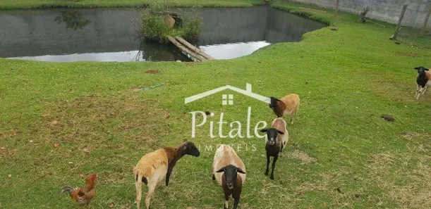 Fazenda / Sítio / Chácara com 1 Quarto à venda, 900m² no Centro, Vargem Grande Paulista