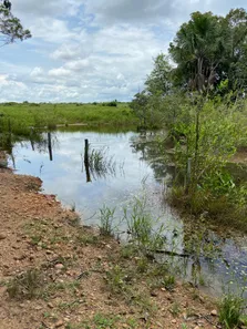 Fazenda / Sítio / Chácara à venda no , Guaraí