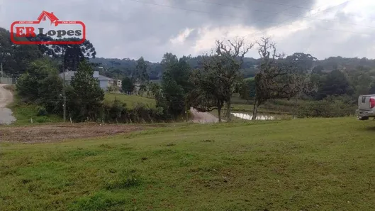 Fazenda / Sítio / Chácara com 2 Quartos à venda, 33445m² no Santa Gema, Colombo