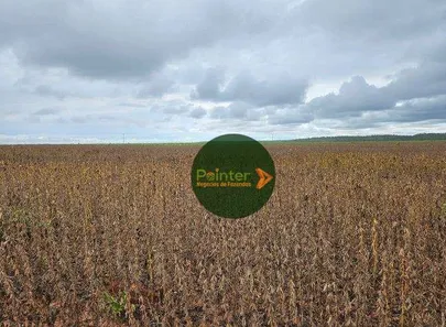 Fazenda / Sítio / Chácara à venda, 9937125m² no , Pedro Afonso