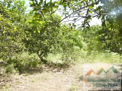 Fazenda / Sítio / Chácara com 2 Quartos à venda, 86000m² no , Tanguá