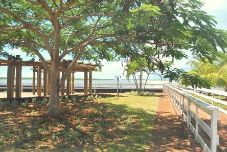 Terreno / Lote / Condomínio à venda, 1250m² no , Sertaneja