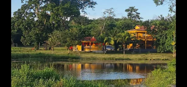 Fazenda / Sítio / Chácara com 5 Quartos à venda, 10m² no POV CAFEZAL, Turiaçu