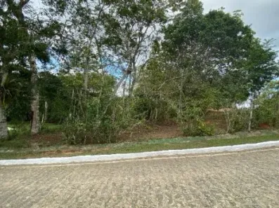 Terreno / Lote / Condomínio com 1 Quarto à venda, 1000m² no , Aliança